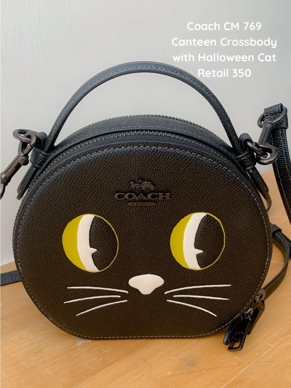 COACH Black Mini Round Cat Face Crossbody